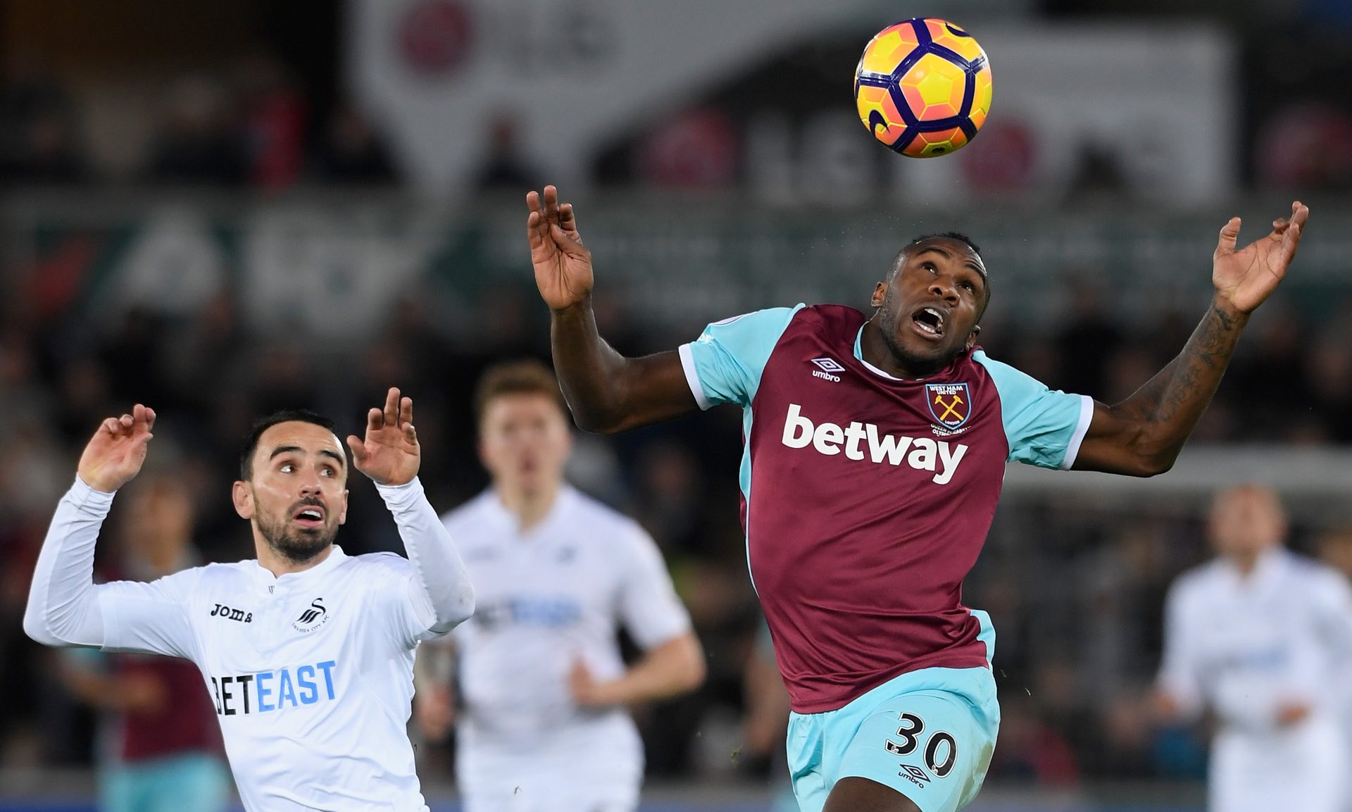 诺维茨基即 诺维茨基即